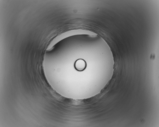 X0000113080333200909182055