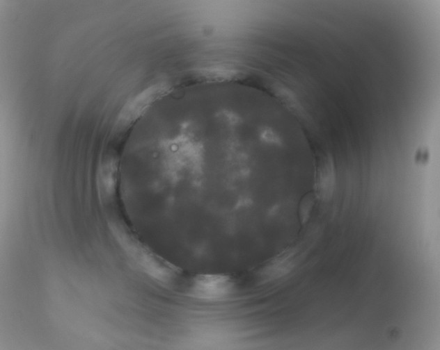 X0000113080334200909182055