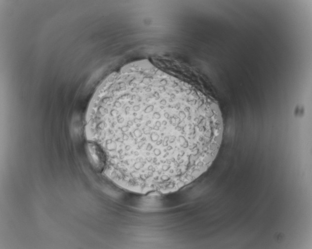 X0000113080335200909182055
