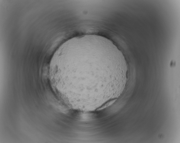 X0000113080336200909182055
