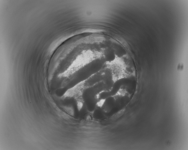 X0000113080337200909182054