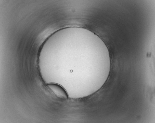 X0000113080338200909182054