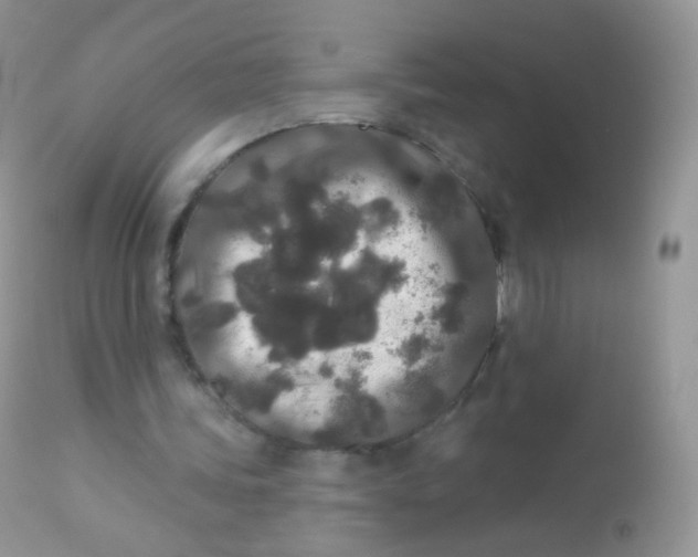 X0000113080339200909182054