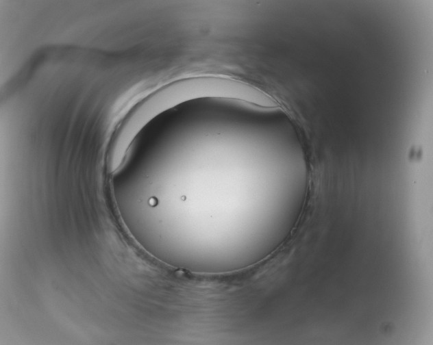 X0000113080340200909182054