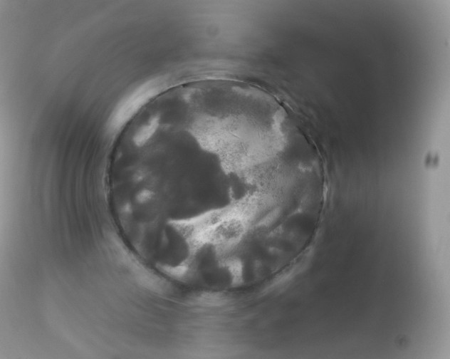 X0000113080341200909182054