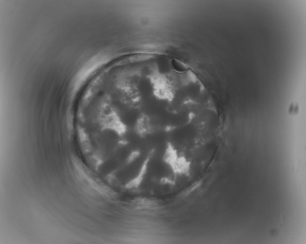 X0000113080343200909182055