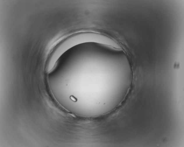 X0000113080344200909182055