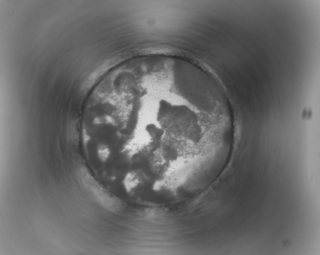 X0000113080345200909182055