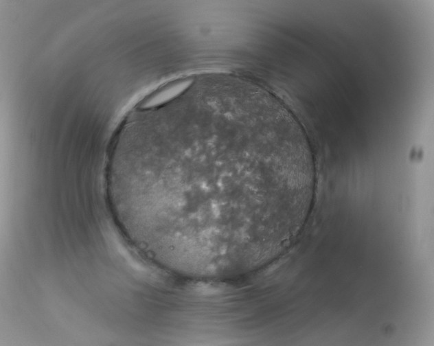 X0000113080346200909182055