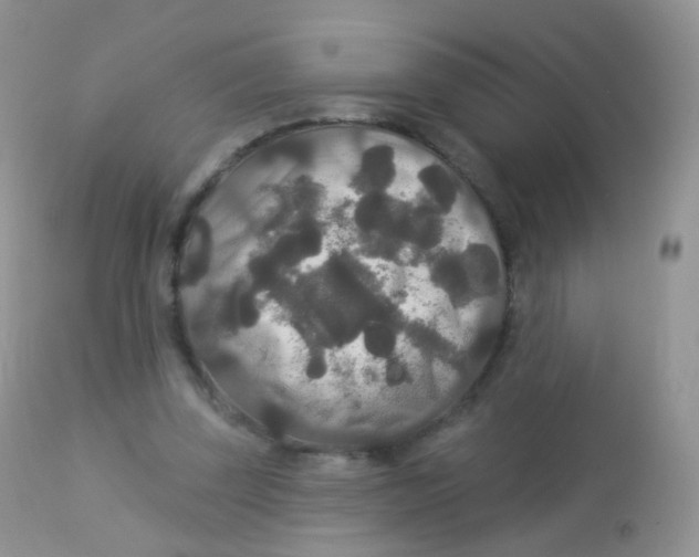 X0000113080347200909182055