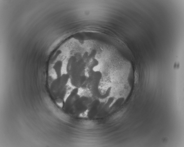 X0000113080349200909182055