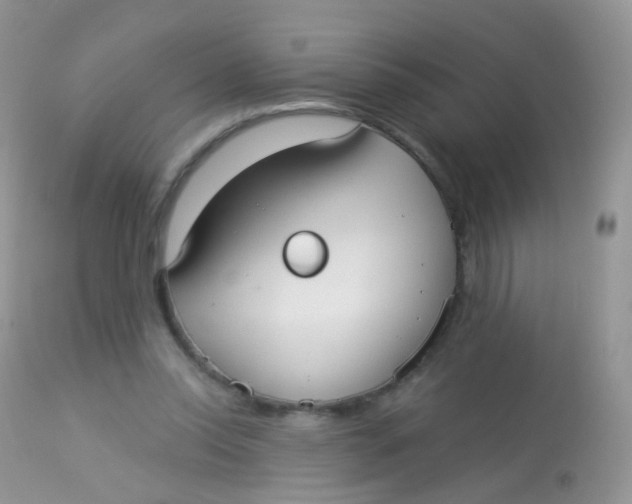 X0000113080350200909182055