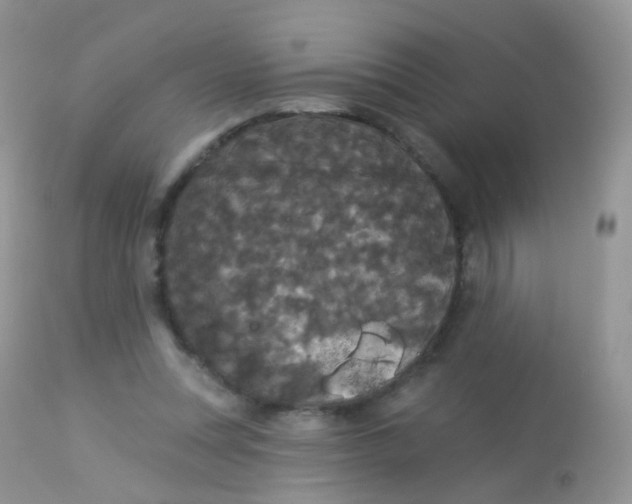 X0000113080351200909182055