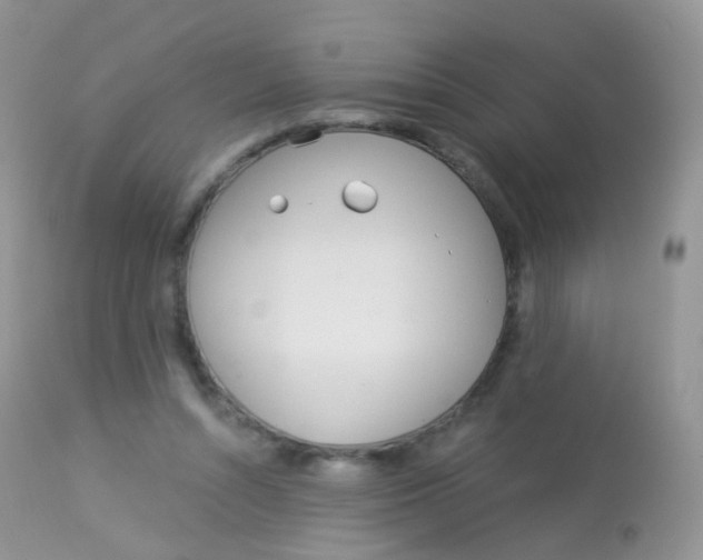 X0000113080352200909182055