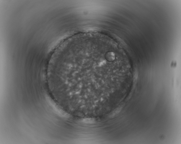 X0000113080353200909182055