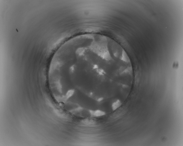 X0000113080354200909182055