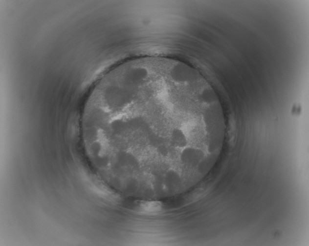 X0000113080355200909182055