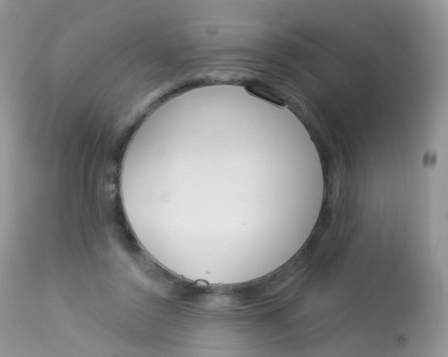 X0000113080356200909182055