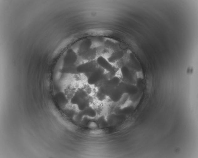 X0000113080357200909182055
