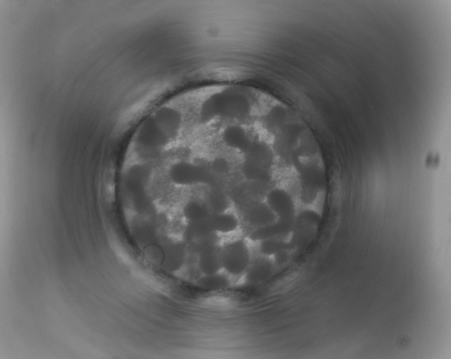 X0000113080358200909182055