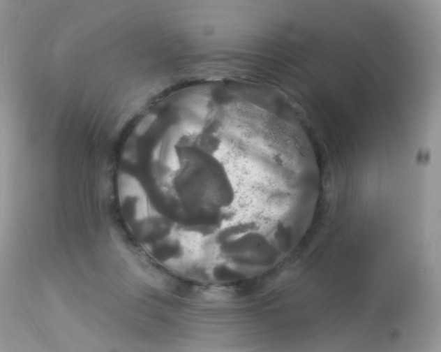 X0000113080359200909182055