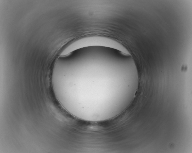 X0000113080360200909182055