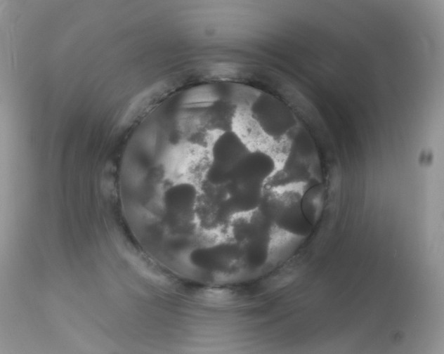 X0000113080361200909182055