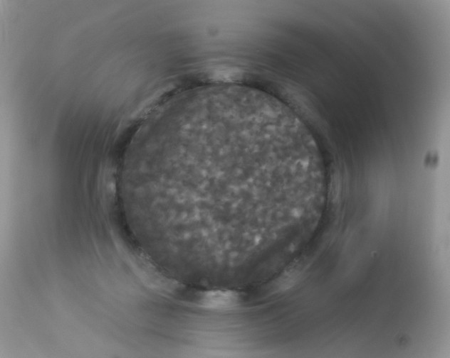 X0000113080363200909182055