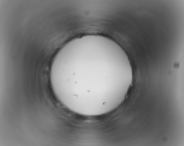 X0000113080364200909182055