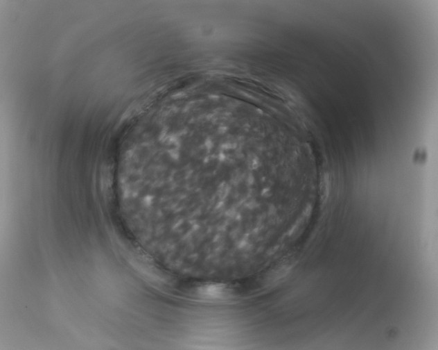 X0000113080365200909182055