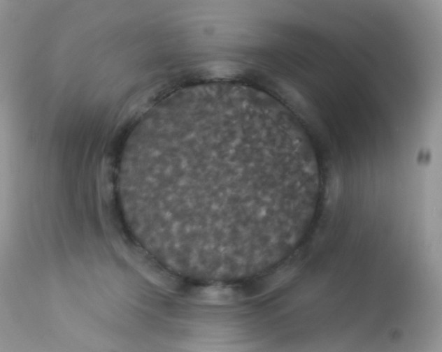 X0000113080366200909182055