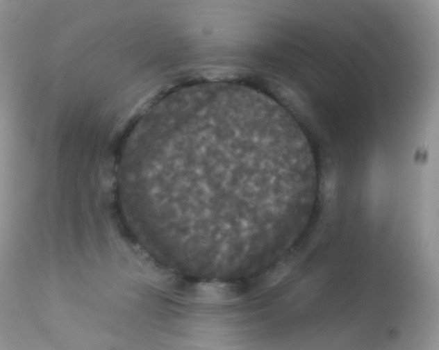 X0000113080367200909182055