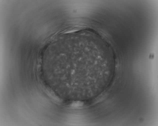 X0000113080369200909182055