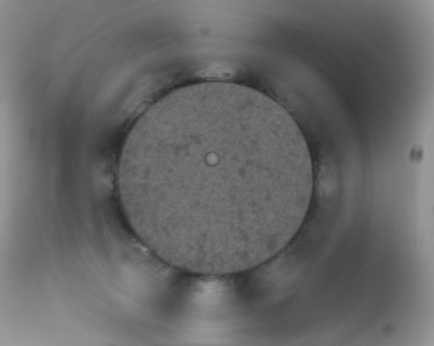 X0000113080370200909182055