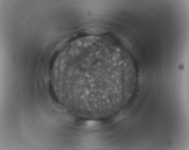 X0000113080371200909182055