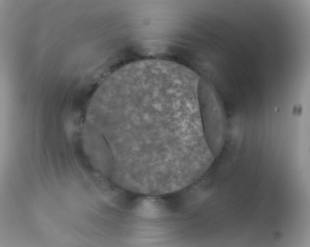 X0000113080372200909182055