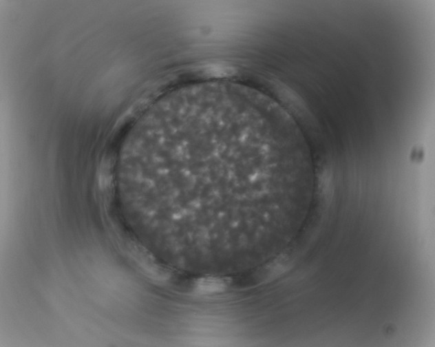 X0000113080373200909182055