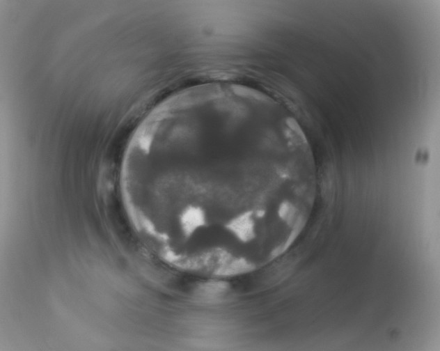 X0000113080374200909182055