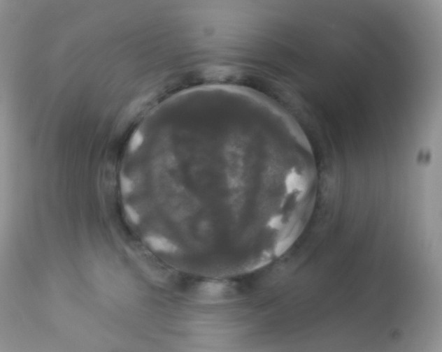 X0000113080375200909182055