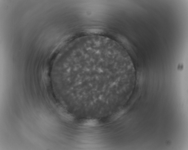 X0000113080377200909182055