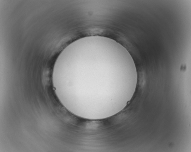 X0000113080378200909182055