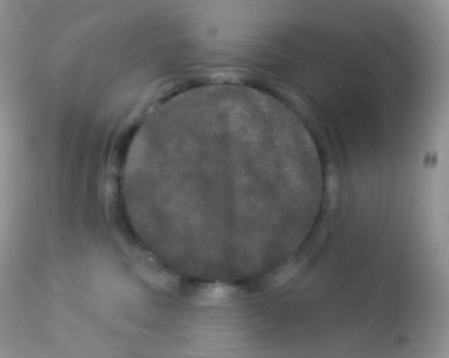 X0000113080379200909182055