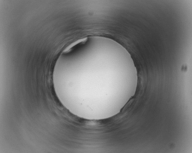 X0000113080380200909182055
