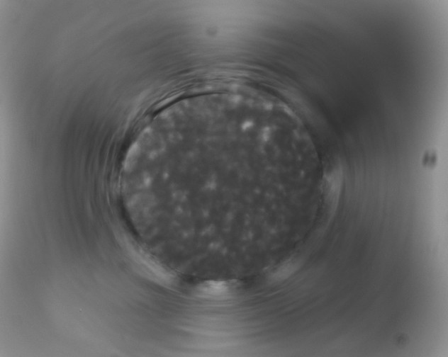 X0000113080381200909182055