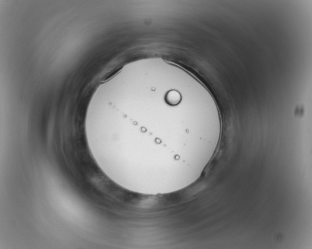 X0000113080382200909182055
