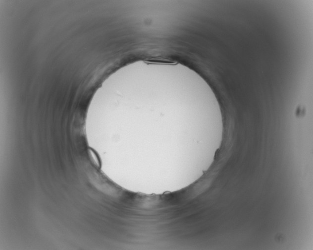 X0000113080384200909182055