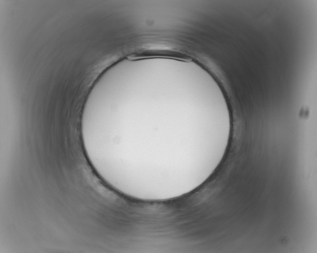 X0000113080385200909182054