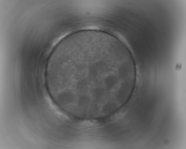 X0000113080386200909182054