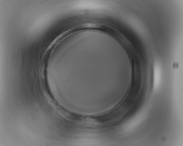 X0000113080387200909182054