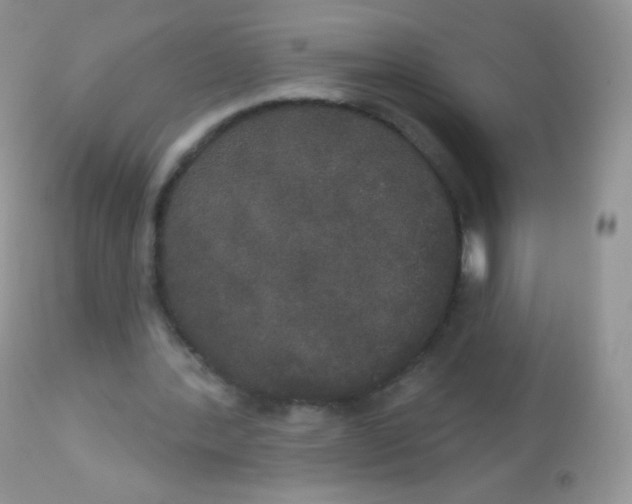X0000113080388200909182054